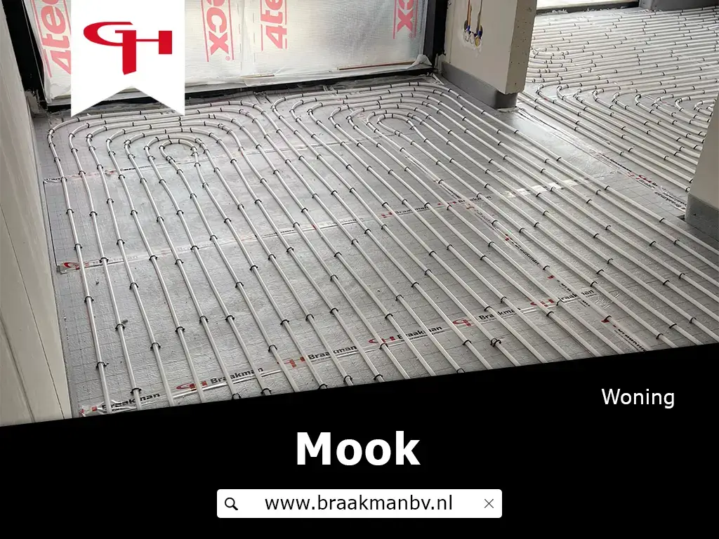 project-mook